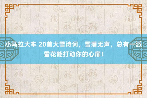 小马拉大车 20首大雪诗词,雪落无声,总有一派雪花能打动你的心扉!