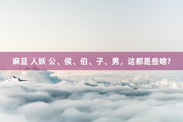 麻豆 人妖 公、侯、伯、子、男,这都是些啥?