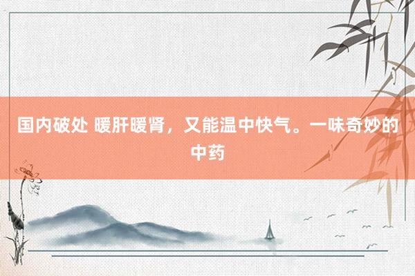 国内破处 暖肝暖肾,又能温中快气。一味奇妙的中药