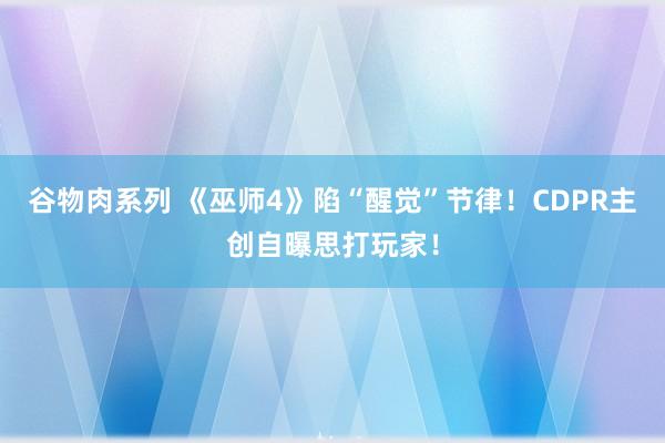 谷物肉系列 《巫师4》陷“醒觉”节律!CDPR主创自曝思打玩家!