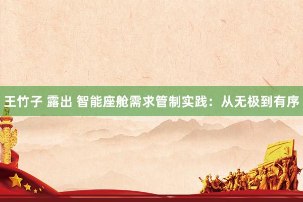 王竹子 露出 智能座舱需求管制实践:从无极到有序