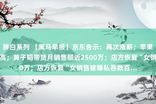 胖白系列 【黑马早报】京东告示:再次涨薪;苹果税中国抽成各人最高;黄子韬带货月销售额近2500万;店方恢复“女销售被曝私吞数百...