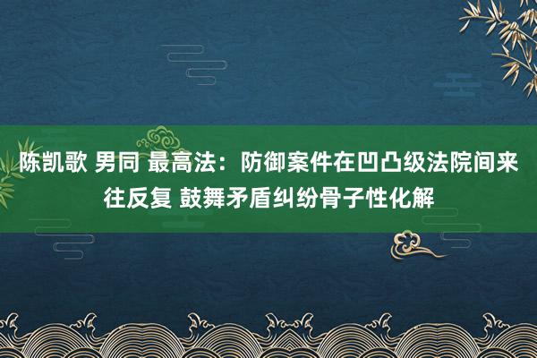 陈凯歌 男同 最高法:防御案件在凹凸级法院间来往反复 鼓舞矛盾纠纷骨子性化解