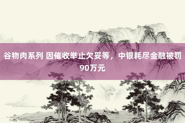 谷物肉系列 因催收举止欠妥等,中银耗尽金融被罚90万元