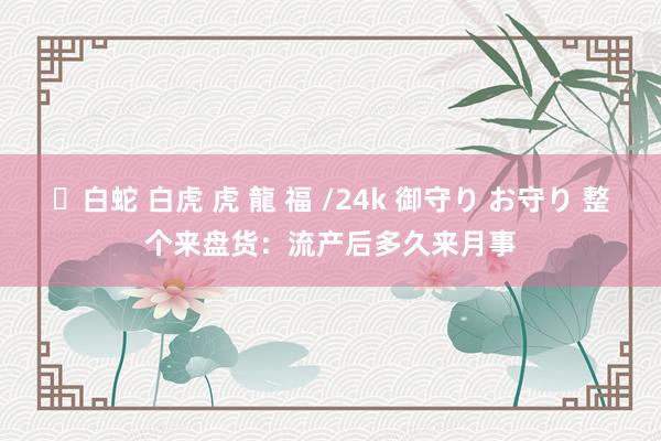 ✨白蛇 白虎 虎 龍 福 /24k 御守り お守り 整个来盘货:流产后多久来月事