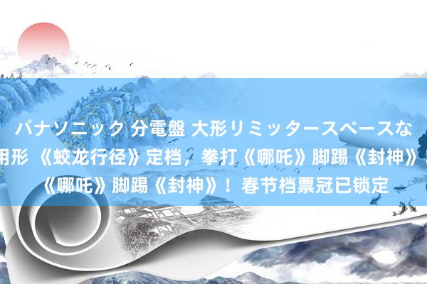 パナソニック 分電盤 大形リミッタースペースなし 露出・半埋込両用形 《蛟龙行径》定档,拳打《哪吒》脚踢《封神》!春节档票冠已锁定