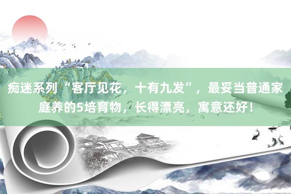 痴迷系列 “客厅见花,十有九发”,最妥当普通家庭养的5培育物,长得漂亮,寓意还好!