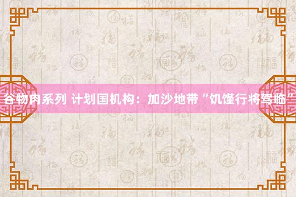 谷物肉系列 计划国机构：加沙地带“饥馑行将驾临”