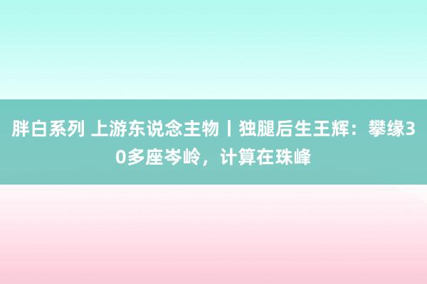胖白系列 上游东说念主物丨独腿后生王辉:攀缘30多座岑岭,计算在珠峰