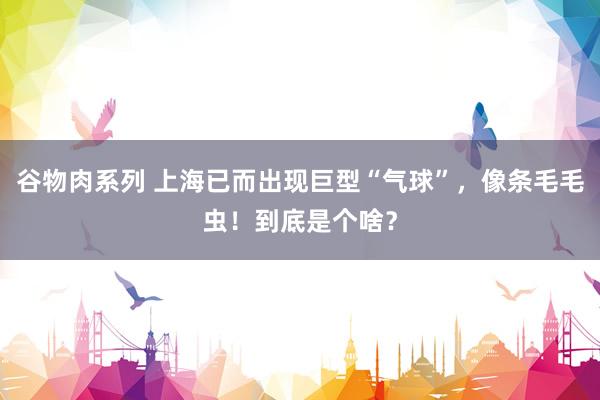 谷物肉系列 上海已而出现巨型“气球”,像条毛毛虫!到底是个啥?
