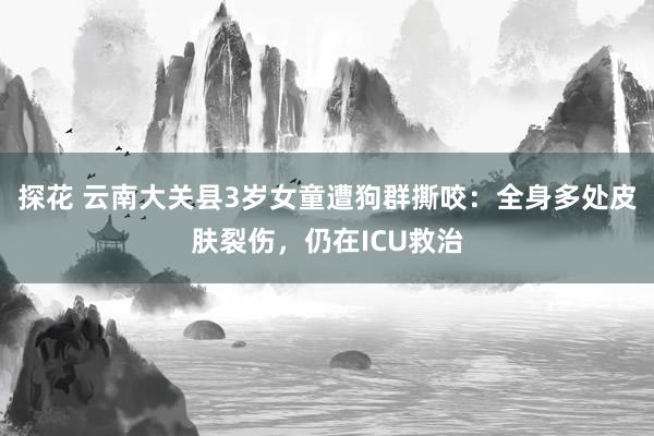 探花 云南大关县3岁女童遭狗群撕咬:全身多处皮肤裂伤,仍在ICU救治