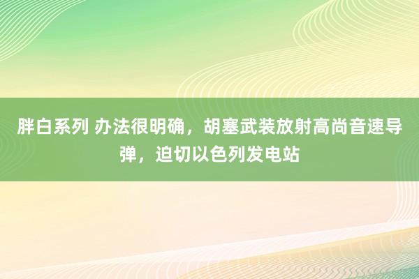 胖白系列 办法很明确,胡塞武装放射高尚音速导弹,迫切以色列发电站