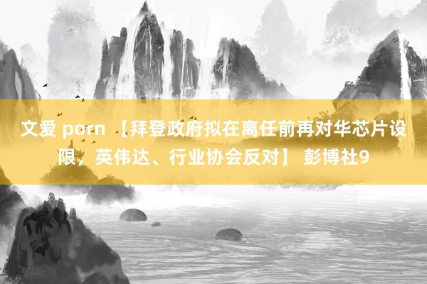 文爱 porn 【拜登政府拟在离任前再对华芯片设限,英伟达、行业协会反对】 彭博社9