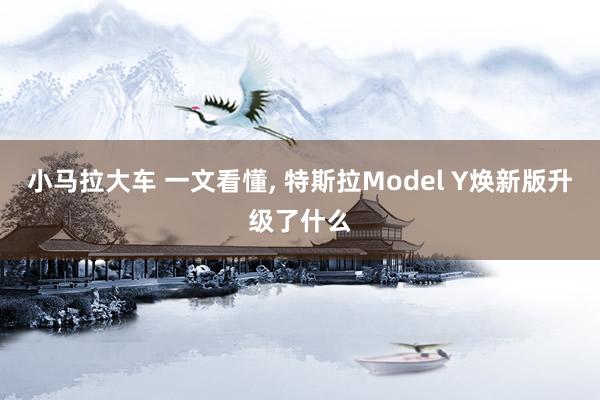 小马拉大车 一文看懂, 特斯拉Model Y焕新版升级了什么