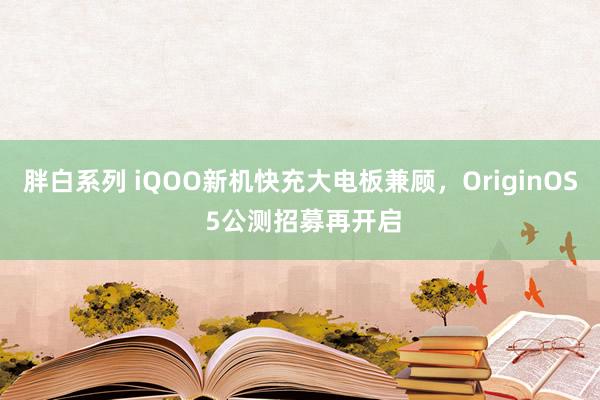 胖白系列 iQOO新机快充大电板兼顾,OriginOS 5公测招募再开启