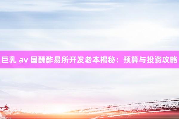 巨乳 av 国酬酢易所开发老本揭秘:预算与投资攻略