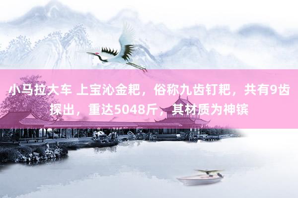 小马拉大车 上宝沁金耙,俗称九齿钉耙,共有9齿探出,重达5048斤,其材质为神镔