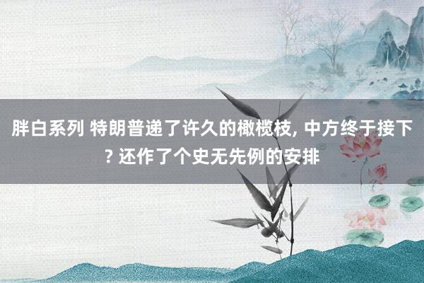 胖白系列 特朗普递了许久的橄榄枝, 中方终于接下? 还作了个史无先例的安排