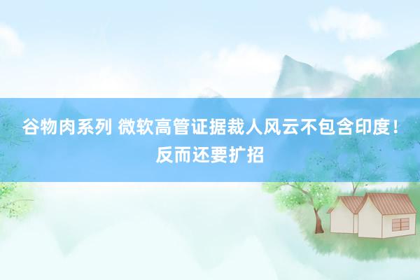 谷物肉系列 微软高管证据裁人风云不包含印度!反而还要扩招