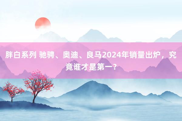 胖白系列 驰骋、奥迪、良马2024年销量出炉,究竟谁才是第一?