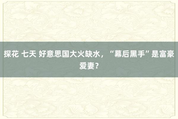探花 七天 好意思国大火缺水,“幕后黑手”是富豪爱妻?