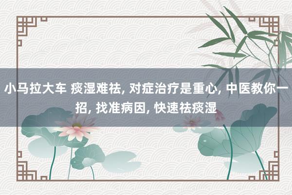 小马拉大车 痰湿难祛, 对症治疗是重心, 中医教你一招, 找准病因, 快速祛痰湿