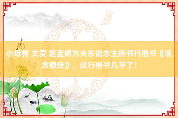 小母狗 文爱 赵孟頫为夫东说念主所书行楷书《说念德经》,这行楷书几乎了!