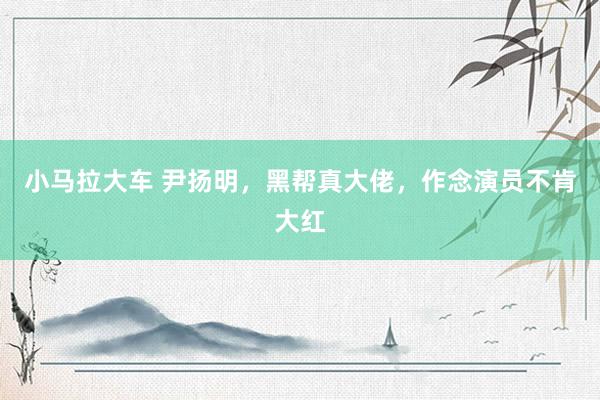 小马拉大车 尹扬明,黑帮真大佬,作念演员不肯大红