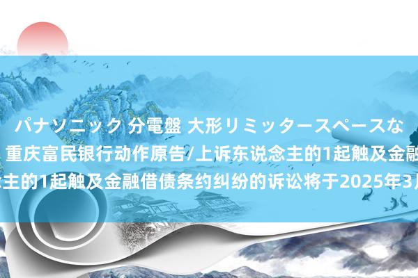 パナソニック 分電盤 大形リミッタースペースなし 露出・半埋込両用形 重庆富民银行动作原告/上诉东说念主的1起触及金融借债条约纠纷的诉讼将于2025年3月19日开庭