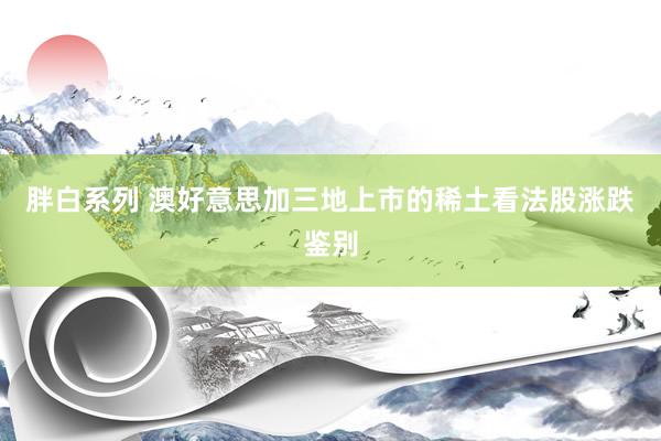 胖白系列 澳好意思加三地上市的稀土看法股涨跌鉴别