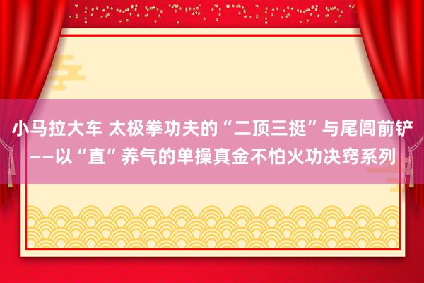 小马拉大车 太极拳功夫的“二顶三挺”与尾闾前铲——以“直”养气的单操真金不怕火功决窍系列