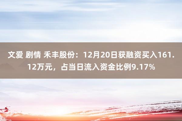 文爱 剧情 禾丰股份:12月20日获融资买入161.12万元,占当日流入资金比例9.17%