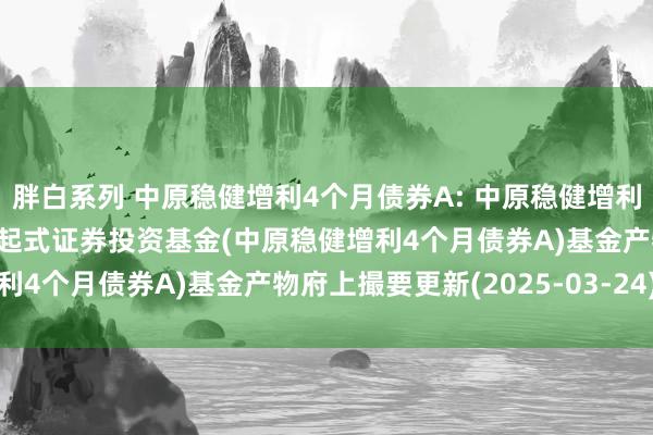 胖白系列 中原稳健增利4个月债券A: 中原稳健增利4个月振荡执有债券型发起式证券投资基金(中原稳健增利4个月债券A)基金产物府上撮要更新(2025-03-24)