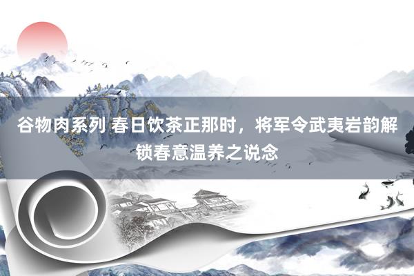 谷物肉系列 春日饮茶正那时,将军令武夷岩韵解锁春意温养之说念