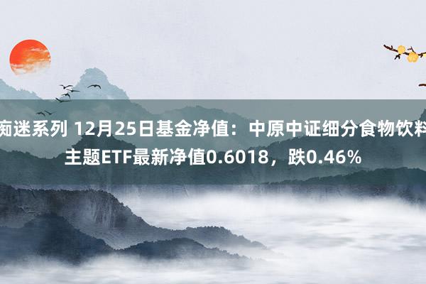 痴迷系列 12月25日基金净值:中原中证细分食物饮料主题ETF最新净值0.6018,跌0.46%