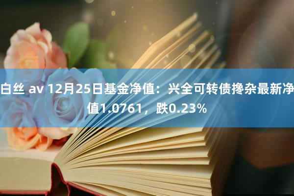 白丝 av 12月25日基金净值：兴全可转债搀杂最新净值1.0761，跌0.23%