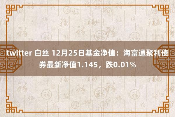 twitter 白丝 12月25日基金净值:海富通聚利债券最新净值1.145,跌0.01%