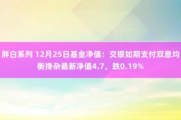 胖白系列 12月25日基金净值:交银如期支付双息均衡搀杂最新净值4.7,跌0.19%