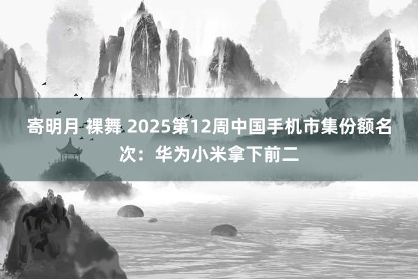 寄明月 裸舞 2025第12周中国手机市集份额名次:华为小米拿下前二