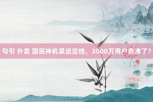 勾引 外卖 国民神机紧迫定档,3000万用户鼎沸了?