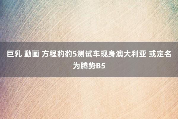 巨乳 動画 方程豹豹5测试车现身澳大利亚 或定名为腾势B5