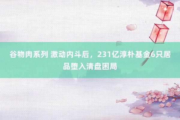 谷物肉系列 激动内斗后,231亿淳朴基金6只居品堕入清盘困局