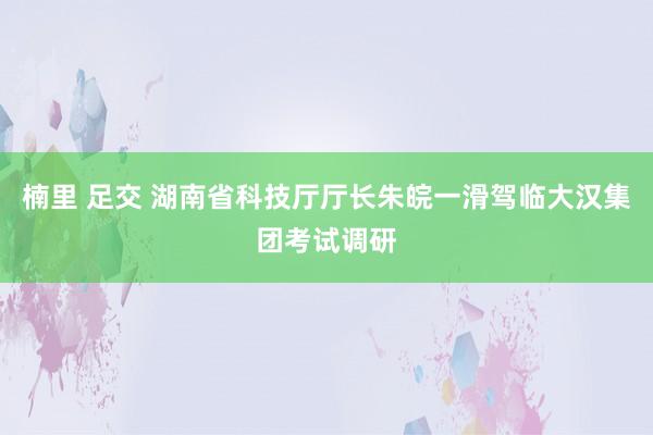 楠里 足交 湖南省科技厅厅长朱皖一滑驾临大汉集团考试调研