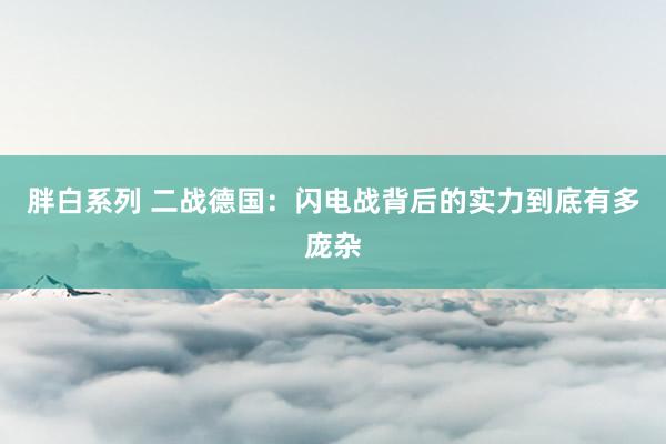 胖白系列 二战德国:闪电战背后的实力到底有多庞杂