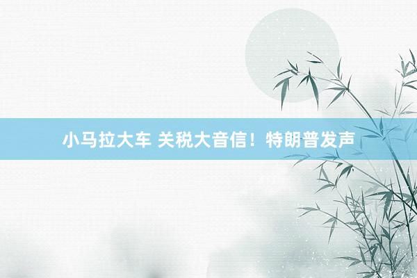 小马拉大车 关税大音信!特朗普发声