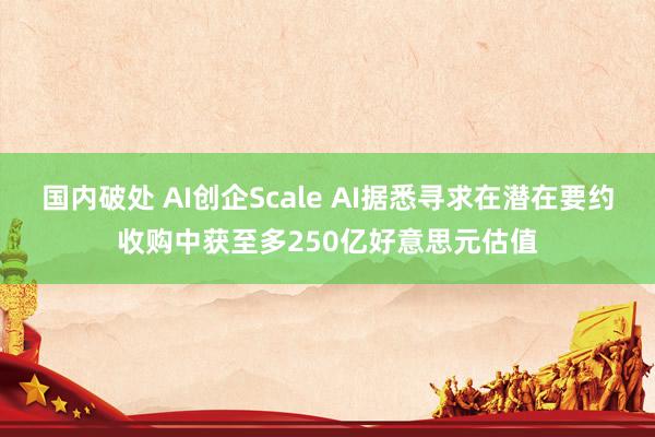 国内破处 AI创企Scale AI据悉寻求在潜在要约收购中获至多250亿好意思元估值