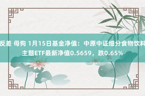 反差 母狗 1月15日基金净值:中原中证细分食物饮料主题ETF最新净值0.5659,跌0.65%