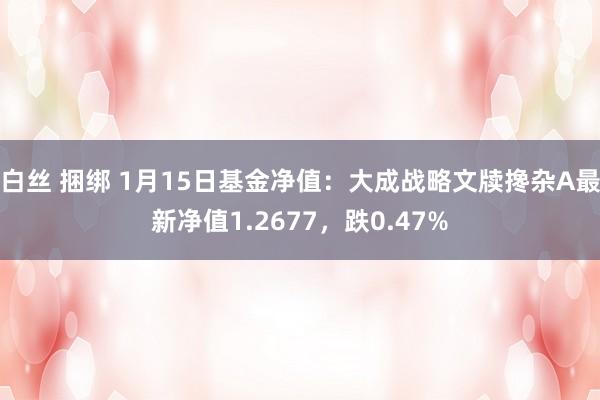 白丝 捆绑 1月15日基金净值:大成战略文牍搀杂A最新净值1.2677,跌0.47%