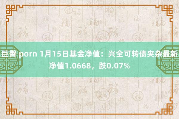 巨臀 porn 1月15日基金净值:兴全可转债夹杂最新净值1.0668,跌0.07%