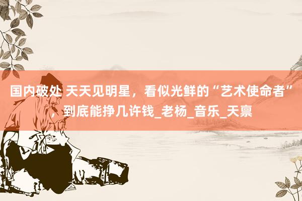 国内破处 天天见明星,看似光鲜的“艺术使命者”,到底能挣几许钱_老杨_音乐_天禀